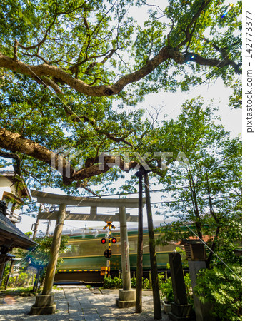 The Enoden train glides past a shrine with a torii gate. 142773377