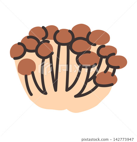 Cute hand-drawn illustration of shimeji mushrooms Cute hand-drawn illustration of shimeji mushrooms 142773947