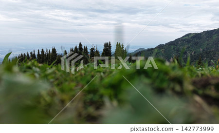 Lush green grass foreground with distant mountains and cloudy sky Lush green grass foreground with distant mountains and cloudy sky 142773999
