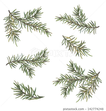 A set of six green spruce branch. Conifer twig (pine, or fir tree). Hand-drawn watercolor illustration, isolated on a white background. Ideal for Christmas and New Year holiday decor, botanical print A set of six green spruce branch. Conifer twig (pine, or fir tree). Hand-drawn watercolor illustration, isolated on a white background. Ideal for Christmas and New Year holiday decor, botanical print 142774248