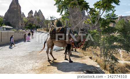 Cappadocia landscape Cappadocia landscape 142774310