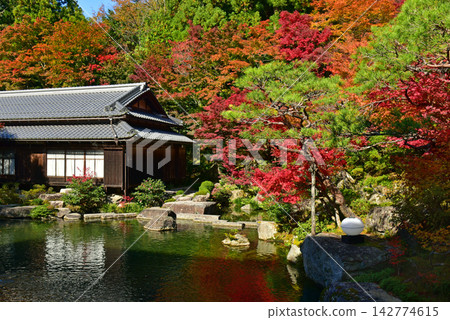久多羅寺:主寺花園的秋葉 久多羅寺:主寺花園的秋葉 142774615