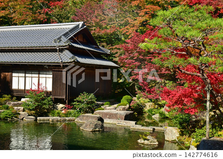 久多羅寺:主寺花園的秋葉 久多羅寺:主寺花園的秋葉 142774616