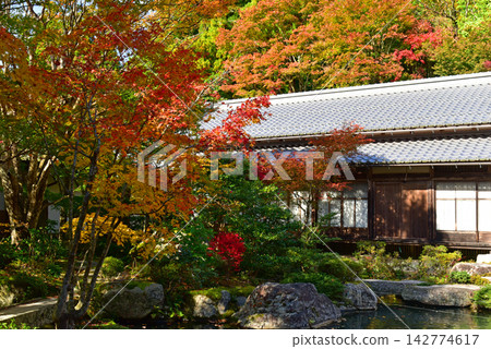 久多羅寺:主寺花園的秋葉 久多羅寺:主寺花園的秋葉 142774617