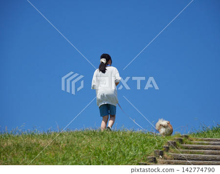 盛夏時節，一名國中女生在哈馬納湖服務區的公園裡和一隻博美犬幼崽玩耍。哈馬納湖是熱門的旅遊景點。 142774790