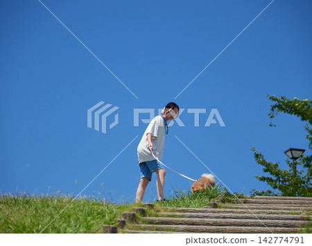 盛夏時節，一名國中女生在哈馬納湖服務區的公園裡和一隻博美犬幼崽玩耍。哈馬納湖是熱門的旅遊景點。 142774791