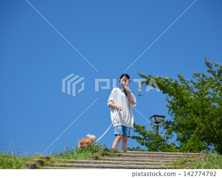 A junior high school girl playing with a Pomeranian puppy in a park at a service area of Lake Hamana, a popular tourist spot in midsummer. 142774792