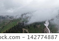 Aerial view of misty mountains with snow and lush green landscape Aerial view of misty mountains with snow and lush green landscape 142774887