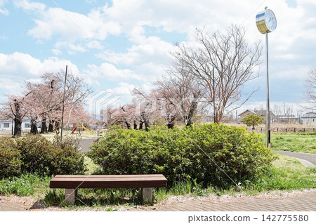 Otowa Park (Peach Blossom Park), a famous spot for cherry blossom viewing in Iizaka-machi, Fukushima City. Otowa Park (Peach Blossom Park), a famous spot for cherry blossom viewing in Iizaka-machi, Fukushima City. 142775580