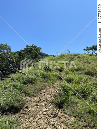 The steep climbing trail up Mt. Sanjusan-ken, where rocks are exposed. The steep climbing trail up Mt. Sanjusan-ken, where rocks are exposed. 142775629