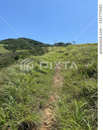 A summer hiking trail leads through green meadows towards the mountaintop. A summer hiking trail leads through green meadows towards the mountaintop. 142775681