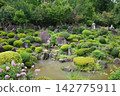 山梨縣大藏寺的庭院和池塘 142775911