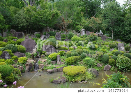 山梨縣大藏寺的庭院和池塘 山梨縣大藏寺的庭院和池塘 142775914