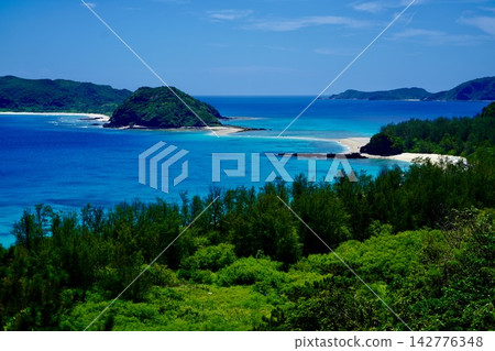 座間味島 座間味島 142776348