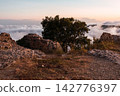 La mussara, Tarragona. Rocky mountain cliff, with a tree, fog, clouds. Summer sunset. 142776397