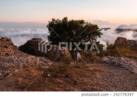 La mussara, Tarragona. Rocky mountain cliff, with a tree, fog, clouds. Summer sunset. La mussara, Tarragona. Rocky mountain cliff, with a tree, fog, clouds. Summer sunset. 142776397