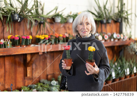 Senior woman buy potted flowering cactus plant in shop Senior woman buy potted flowering cactus plant in shop 142776839