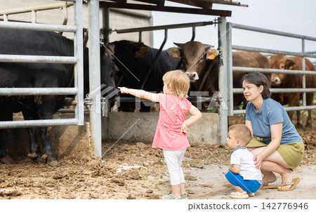 Woman with children near yard with calves Woman with children near yard with calves 142776946