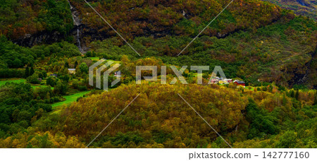aerial view of autumn forest aerial view of autumn forest 142777160