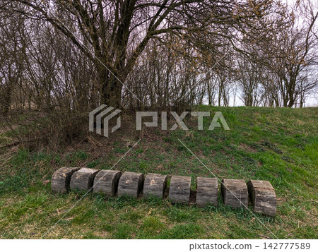 Wooden logs forming a bench in the park of brandys nad labem in the czech republic Wooden logs forming a bench in the park of brandys nad labem in the czech republic 142777589