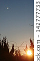 Sunrise 142777733