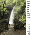 Yoro Falls and the lush forest scenery, Yoro Town, Gifu Prefecture 142777835