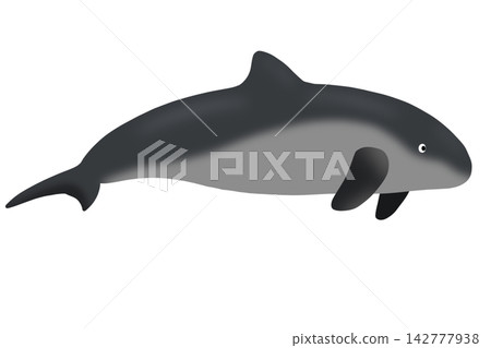 vector illustration of a blue whale vector illustration of a blue whale 142777938