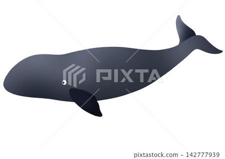 vector illustration of a blue whale 142777939