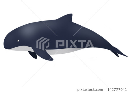 vector illustration of a blue whale vector illustration of a blue whale 142777941