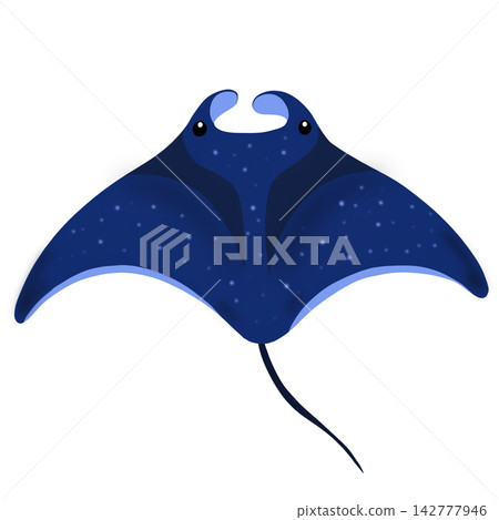 Ray Ray 142777946