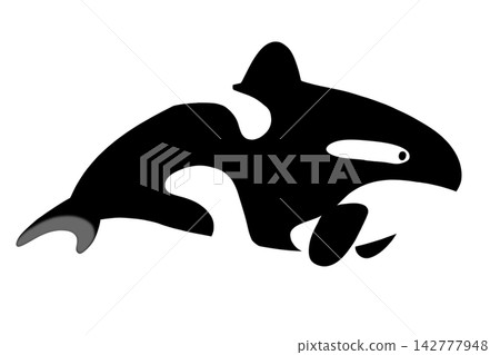 black silhouette of dolphin black silhouette of dolphin 142777948