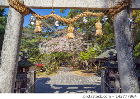山口學院的春日景色 山口學院的春日景色 142777964