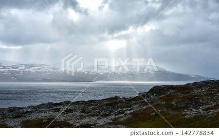 fog in the mountains fog in the mountains 142778834