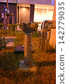 Water inlet 142779035