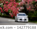 汽車行駛在兩旁種滿紅紫薇樹的街道上 142779188