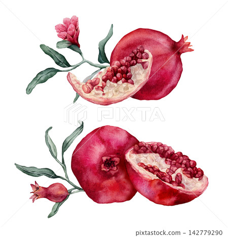Pomegranate Fruit Branch and halved pomegranate showing red arils. Hand drawn watercolor illustration of red tropical with green leaves Food on isolated background. Drawing sketch of juicy for menu. Pomegranate Fruit Branch and halved pomegranate showing red arils. Hand drawn watercolor illustration of red tropical with green leaves Food on isolated background. Drawing sketch of juicy for menu. 142779290