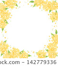 桂花（正方形）1 142779336