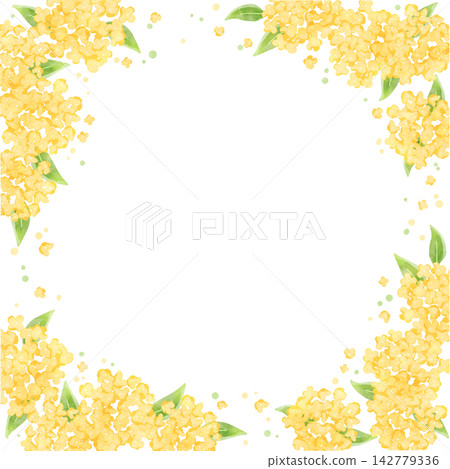 Osmanthus (square) 1 Osmanthus (square) 1 142779336