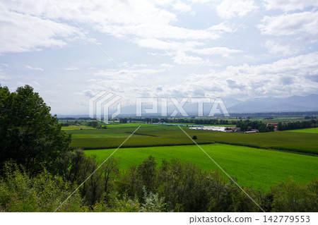 清水町三松全景公園(2026年9月) 清水町三松全景公園(2026年9月) 142779553