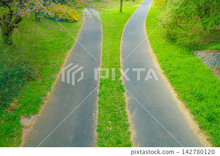 岔路(岔路) 岔路(岔路) 142780120