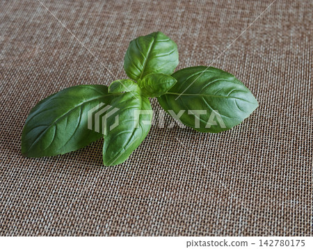 Fresh Basil Leaves on Rustic Burlap Background - for culinary, healthy food and Mediterranean cuisine concepts. Fresh Basil Leaves on Rustic Burlap Background - for culinary, healthy food and Mediterranean cuisine concepts. 142780175