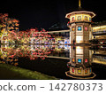 松島禦苑夜景 142780373