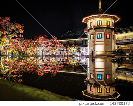 松島禦苑夜景 松島禦苑夜景 142780373
