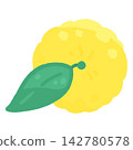 一幅從上方俯視的柚子果實和葉子的彩色插圖。 142780578