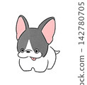 A French Bulldog with a relaxed touch 142780705