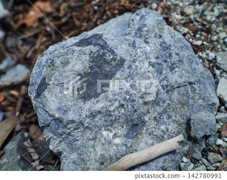 上高地觀光區河岸邊的石頭。 上高地觀光區河岸邊的石頭。 142780991