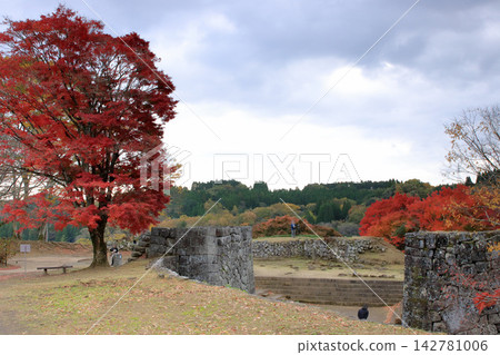 秋天的城堡廢墟 秋天的城堡廢墟 142781006