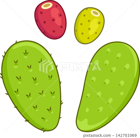 Nopal cactus and prickly pears drawing set Nopal cactus and prickly pears drawing set 142781069