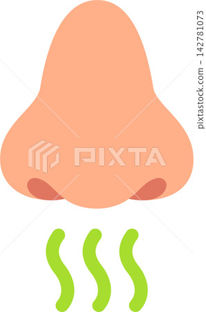 Nose and smelling icon Nose and smelling icon 142781073