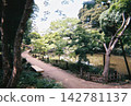 A walking path along the pond in a lush green park. 142781137